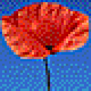 2001010